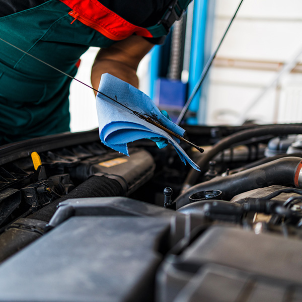 Mechanic checking car engine for oil change in the New Port Richey and Port Richey, FL area